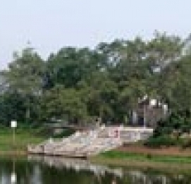 THE FIRST SPRING OF THE YEAR  - 2012 - Vinh Hung JSC