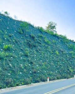 Rock Slope Stabilization and Rockfall Protection