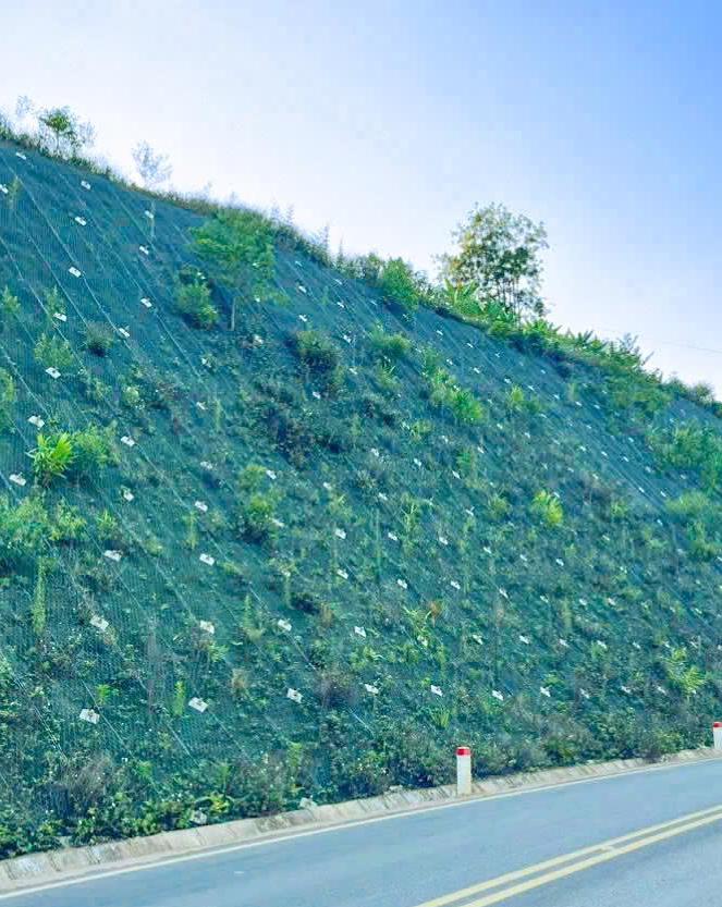 Slope Stabilization