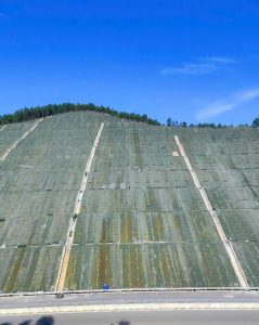 Surface Erosion Control for Soil and Completely Weathered Rock Slopes