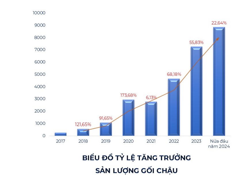 Nhà máy Vĩnh Hưng IP lập kỷ lục sản lượng trong 6 tháng đầu năm 2024